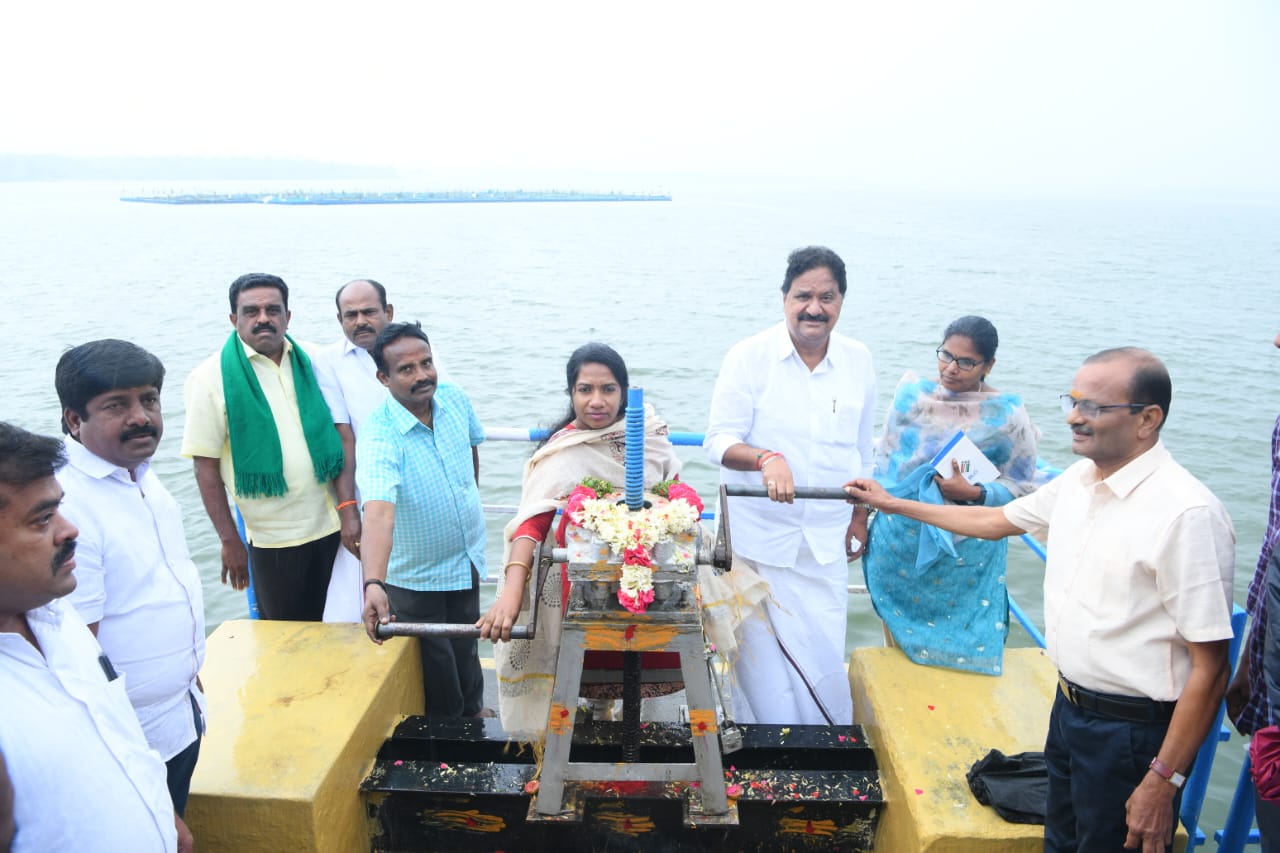 கிருஷ்ணகிரி மாவட்டம் பாரூர் பெரிய ஏரியில் இரண்டாம் போக சாகுபடிக்கு தண்ணீர் திறப்பு: